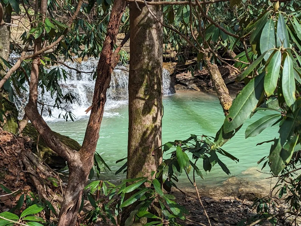 Komodo Falls through the trees